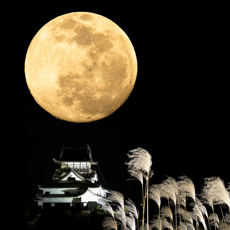 Full harvest moon in Japan
