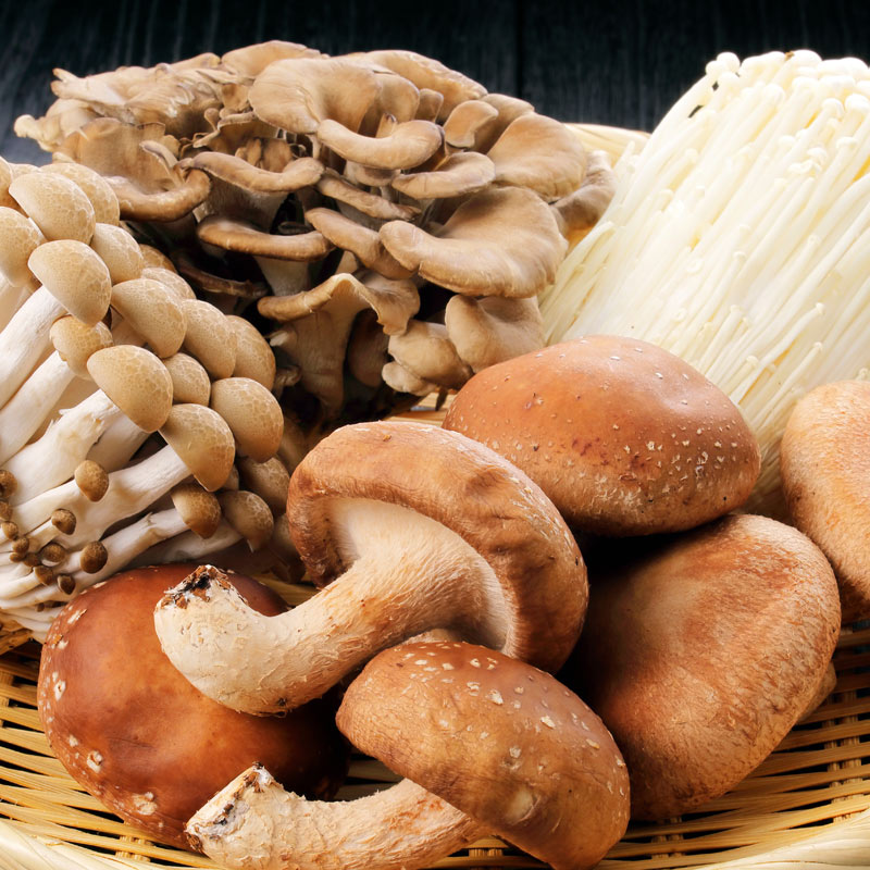 Various Japanese mushrooms