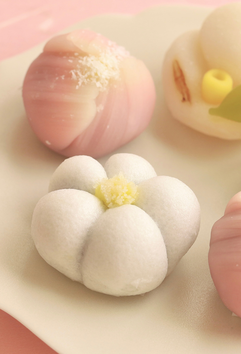 Japanese wagashi sweets shaped like camellia flowers