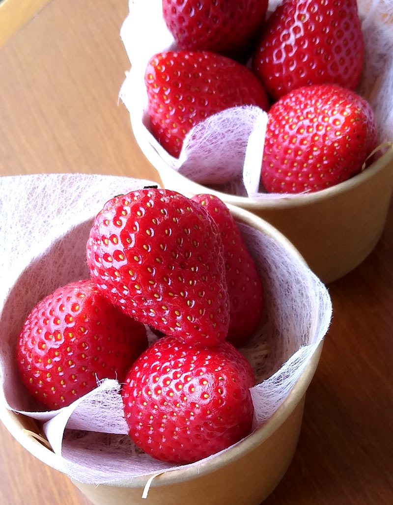 Japanese premium strawberries