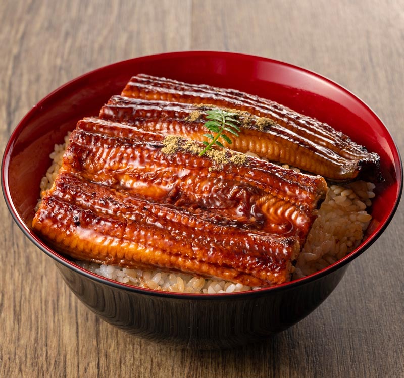 Unadon - grilled eel on a bowl of rice