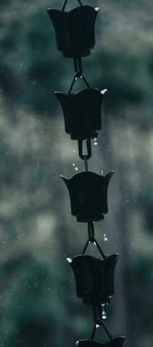 Japanese rain chain.  Photo by Shana Van Roosbroek on Unsplash
