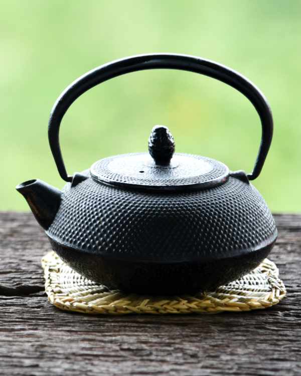 Japanese cast iron kettle