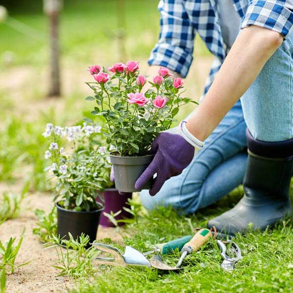 Gardening activity