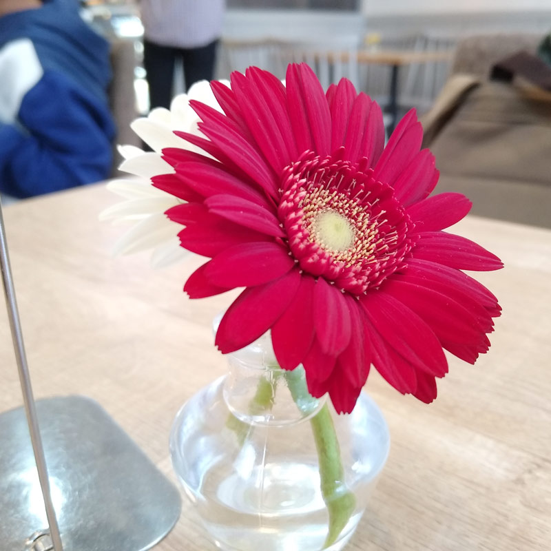 A tiny kawaii flower arrangement in a Japanese cafe