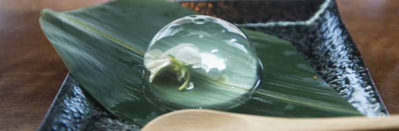 Japanese raindrop cake