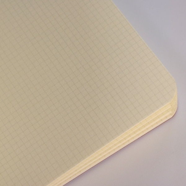 Inside pages of grid notebook
