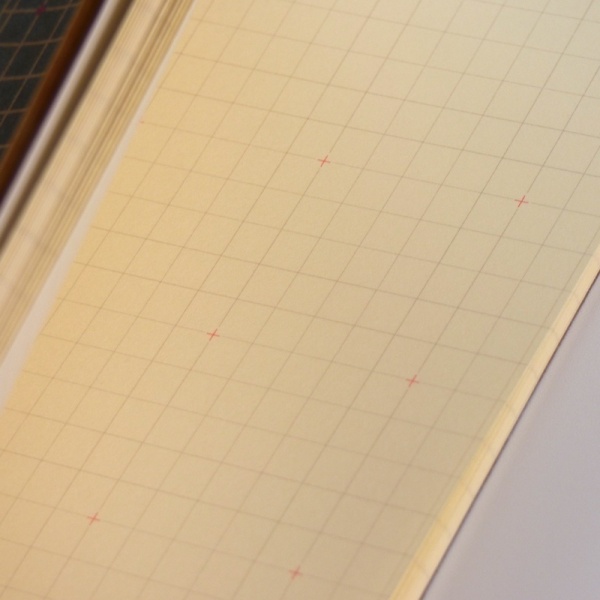 Inside pages of red cross 'reticle' grid notebook