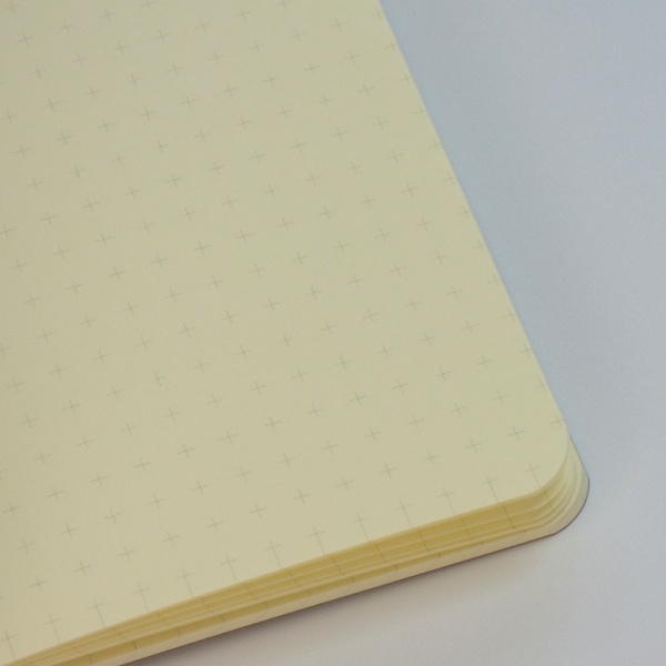 Inside of notebook with reticle grid marks