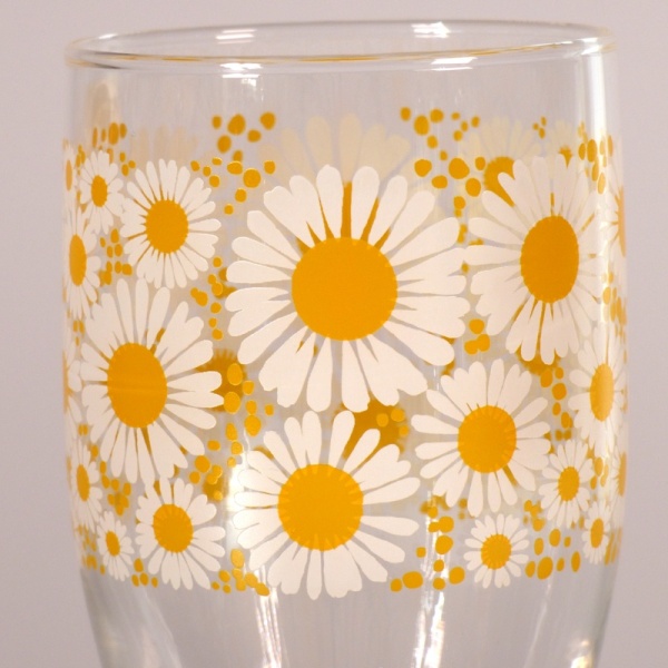 Close up of marguerite daisy design