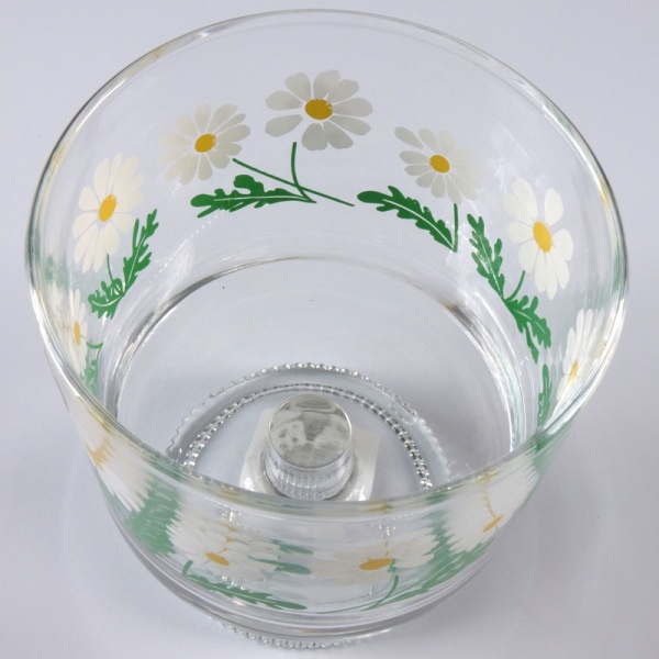 Interior view of Japanese glass dessert bowl