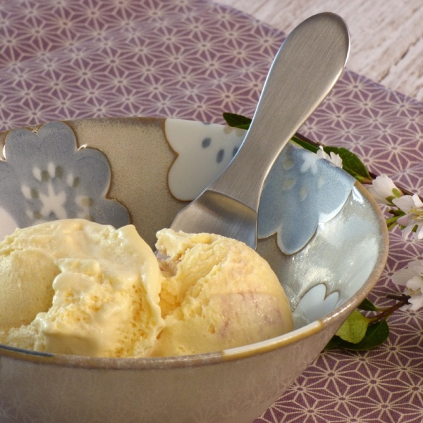 Brushed stainless steel gelato ice cream spoon in bowl of ice cream