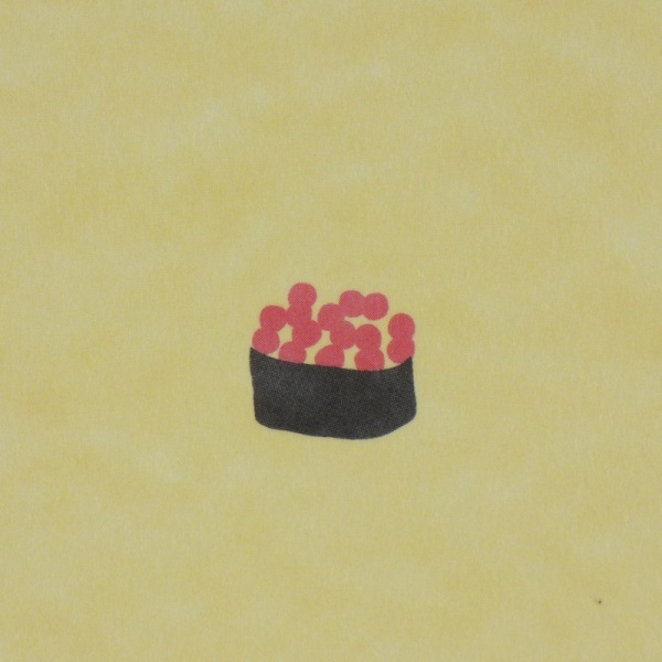 Close up of small sushi illustrated detail