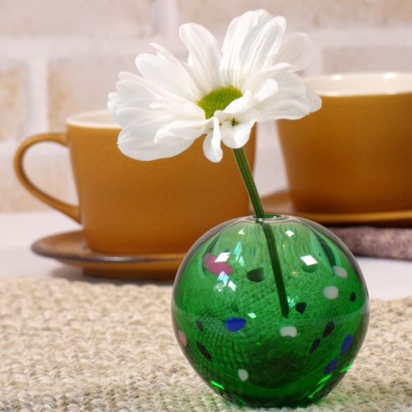 Green glass vase with single large daisy flower