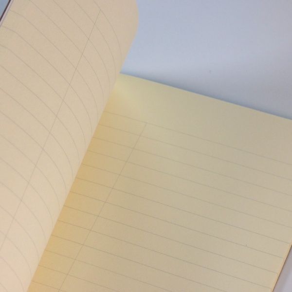 Inside pages of lined notebook