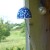 Blue and white Japanese wind chime hanging in garden summer house