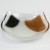 Calico cat small glass plate