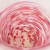 Close up of pink swirling coloured glass design